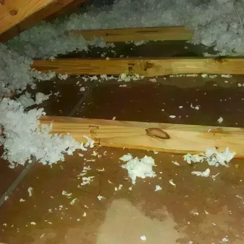 Attic Water Damage in Vandergrift, PA