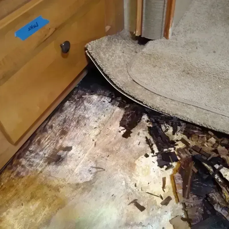 Best Wood Floor Water Damage Service in Vandergrift, PA